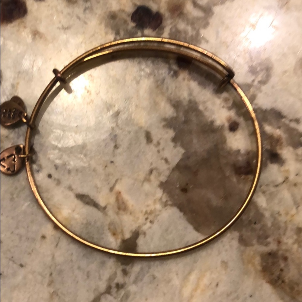 Alex and ani
